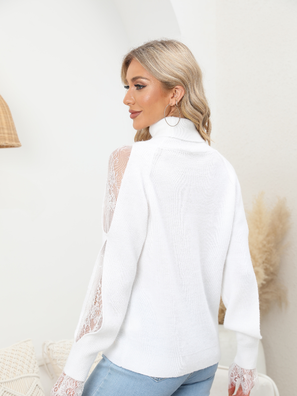 Exlura High neckline lace sweater